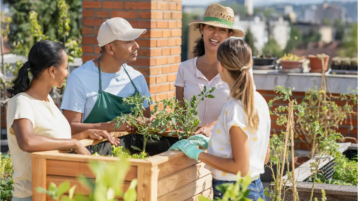 Urban Vegetable Gardening