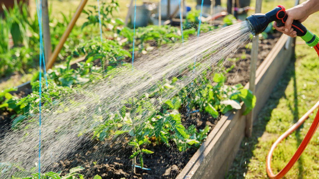 How to Fill a Raised Garden Bed