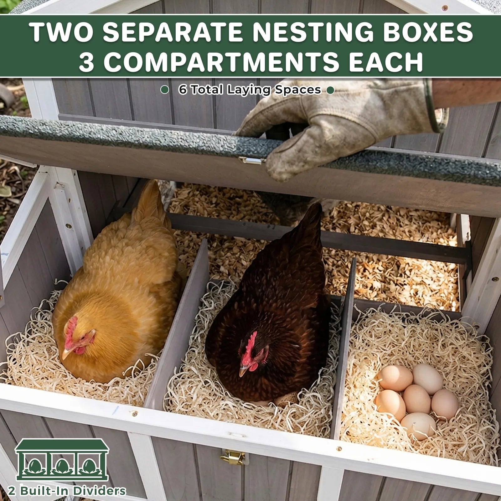 Medium Chicken Coop with Run for 4-8 Chickens Expandable to Large Coop - PET24