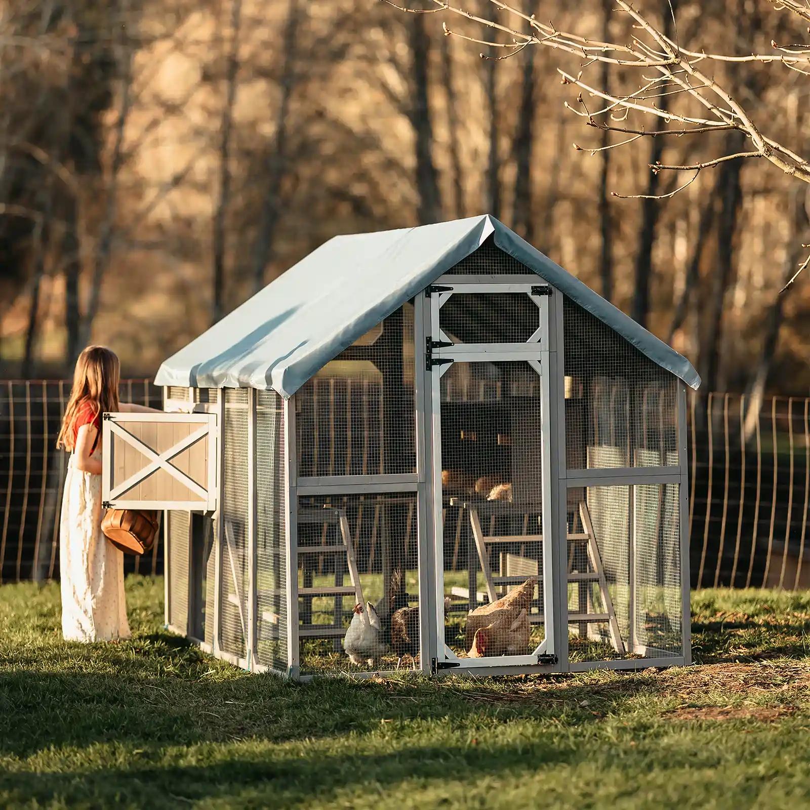 Large Chicken Coop for 8-12 Chickens, Walk-In Run with Nesting Boxes-PET29