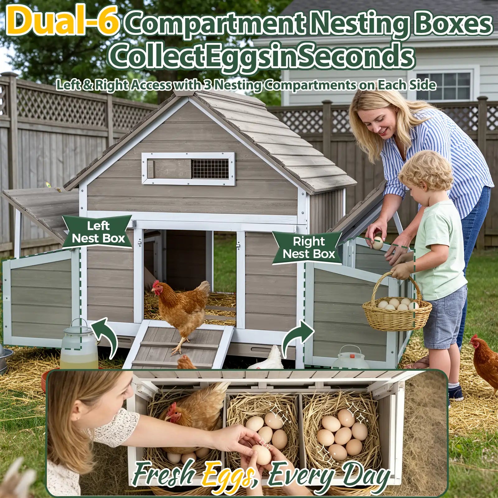 Large Expandable Chicken Coop – Modular Predator-Proof Hen House with Run & Nesting Boxes (PET86 + PET88 Extensions)