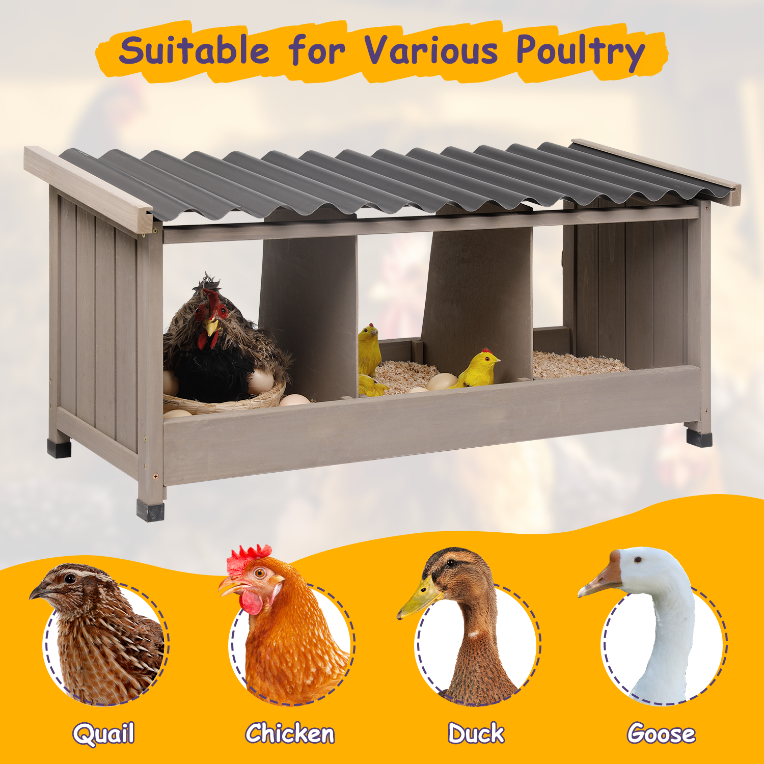 Side view of the nesting box showing individual compartments