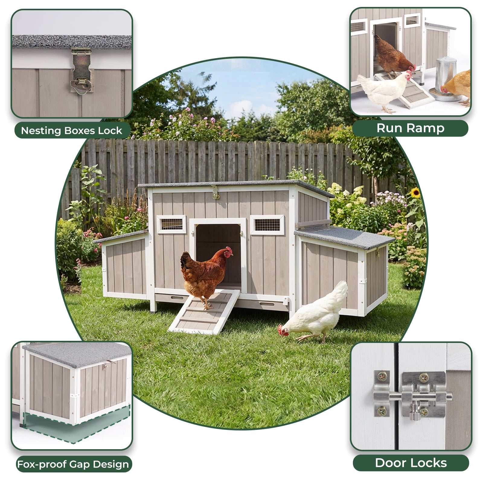 Medium Chicken Coop for 3-5 Chickens 4 Nesting Boxes