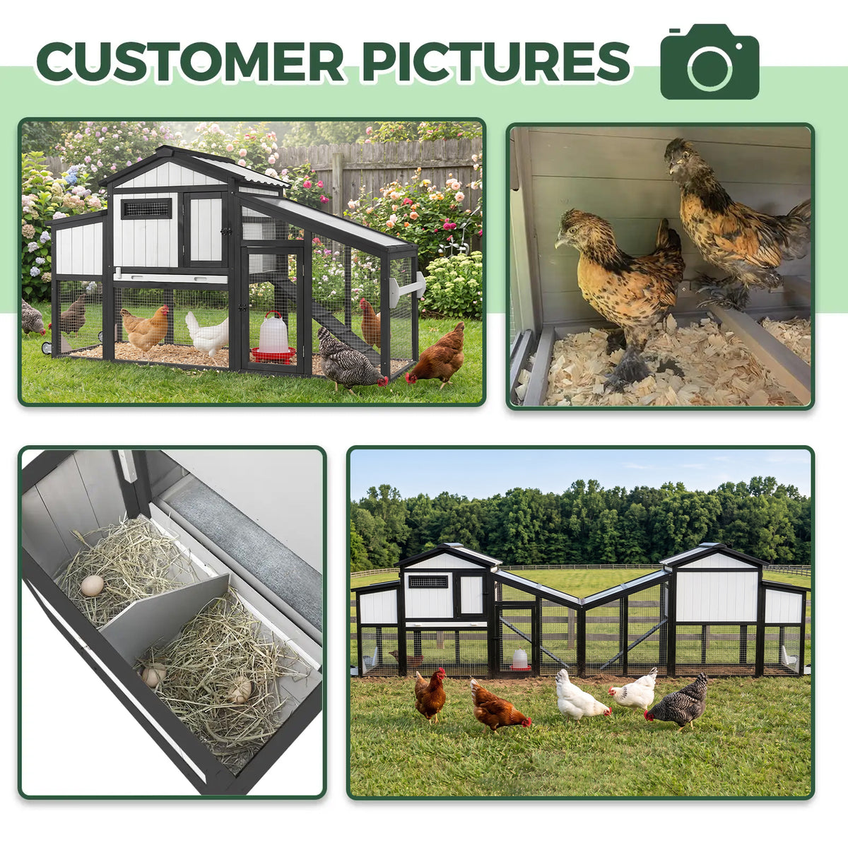 Modular Small Chicken Coop with Run for 2–3 Chickens - PET06