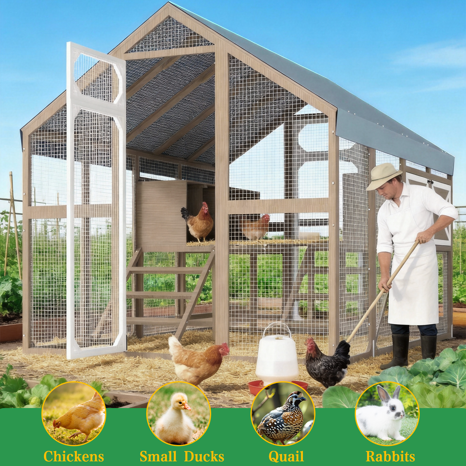 Large Chicken Coop for 8-12 Chickens, Walk-In Run with Nesting Boxes-PET29
