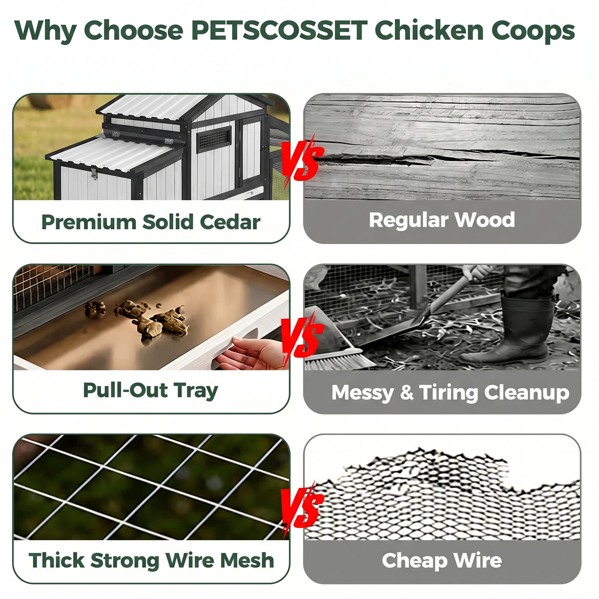 Modular Small Chicken Coop with Run for 2–3 Chickens - PET06