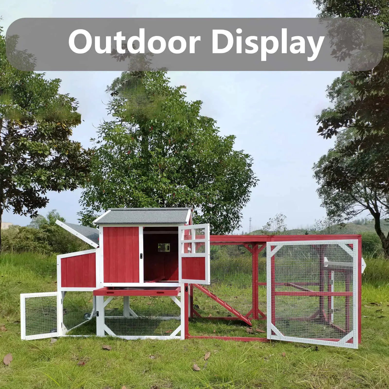 Coop placed in backyard with chickens inside