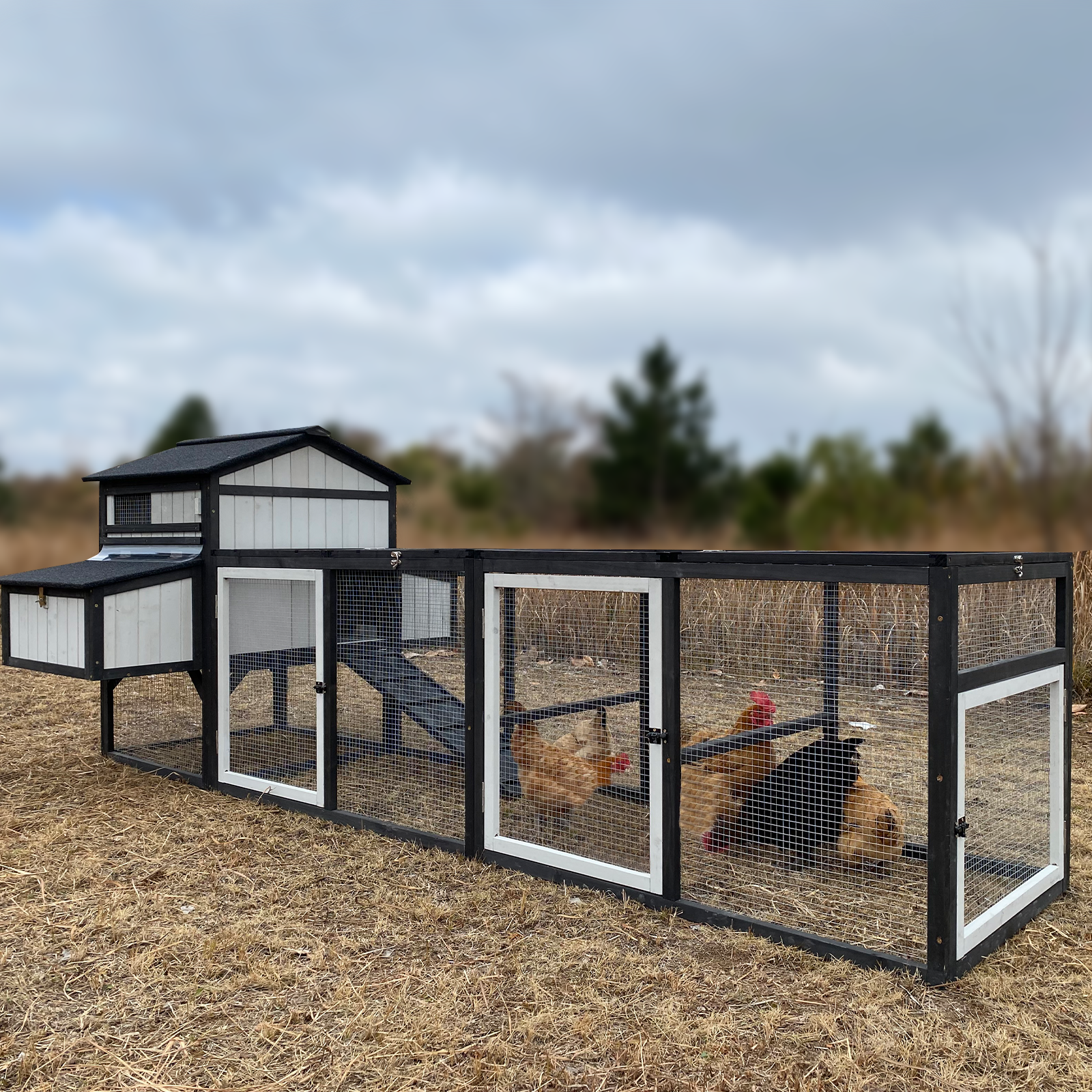 116″L Extra Large Chicken Coop with 4 Nesting Boxes for 4 Chickens-PET27-BLACKWHITE