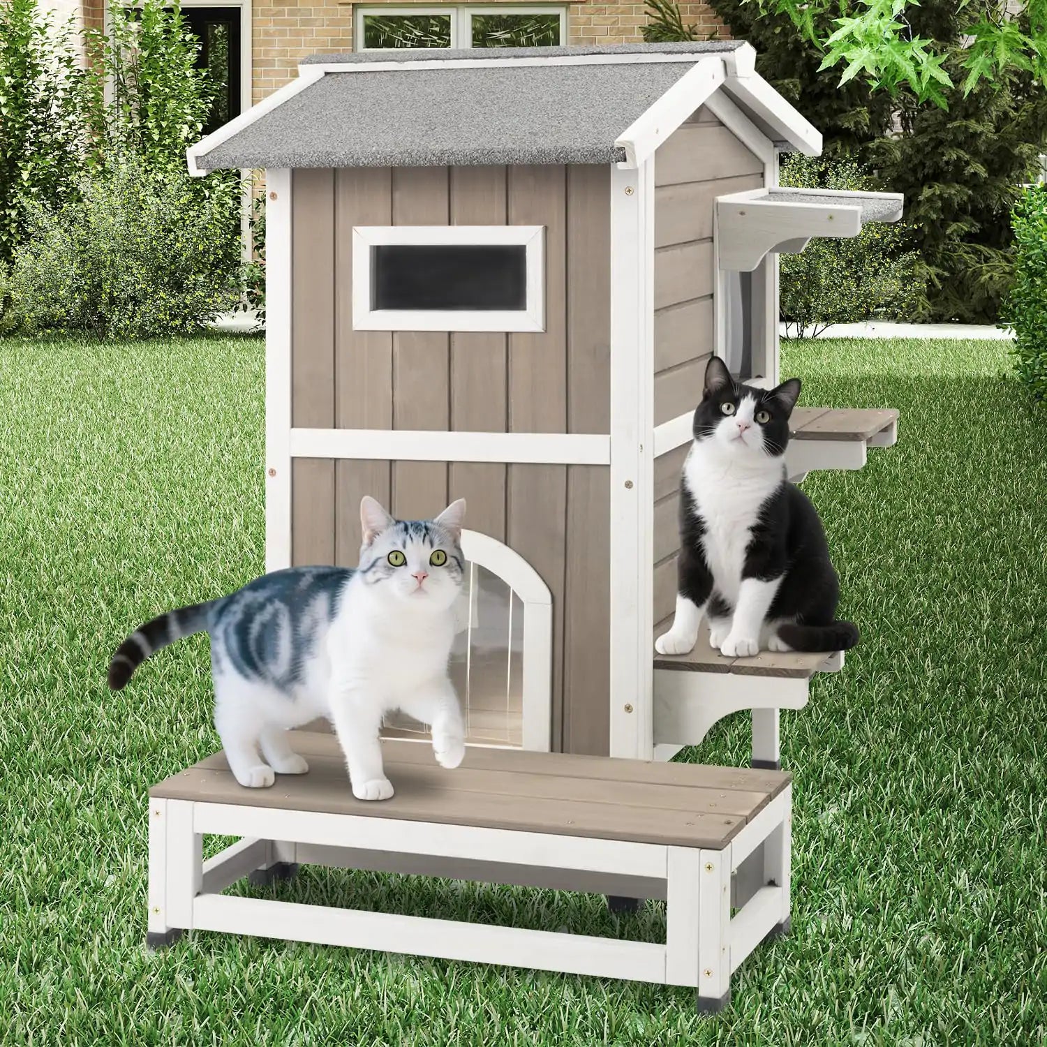 Feral cat shelter with openable roof for cleaning and access