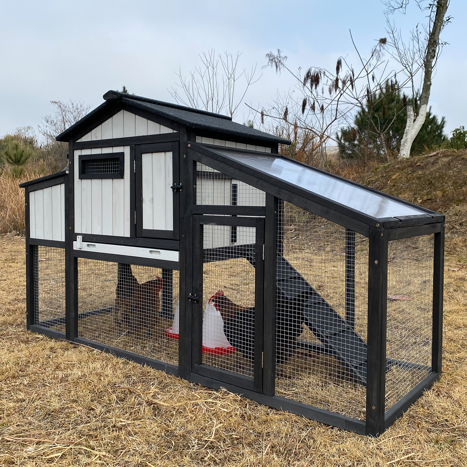 Small Chicken Coop with Run & Nesting Box