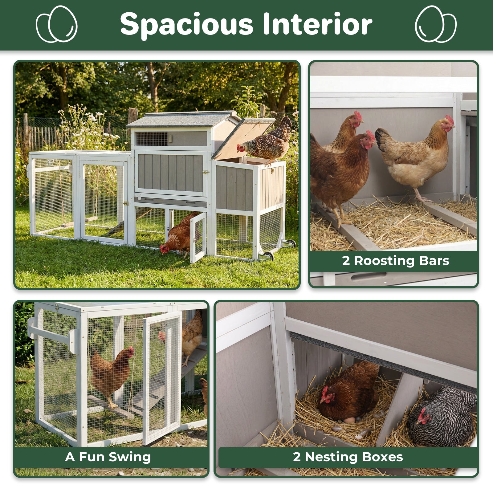 Small Chicken Coop with Run for 2–3 Chickens-Transparent Baffle Roof - PET82