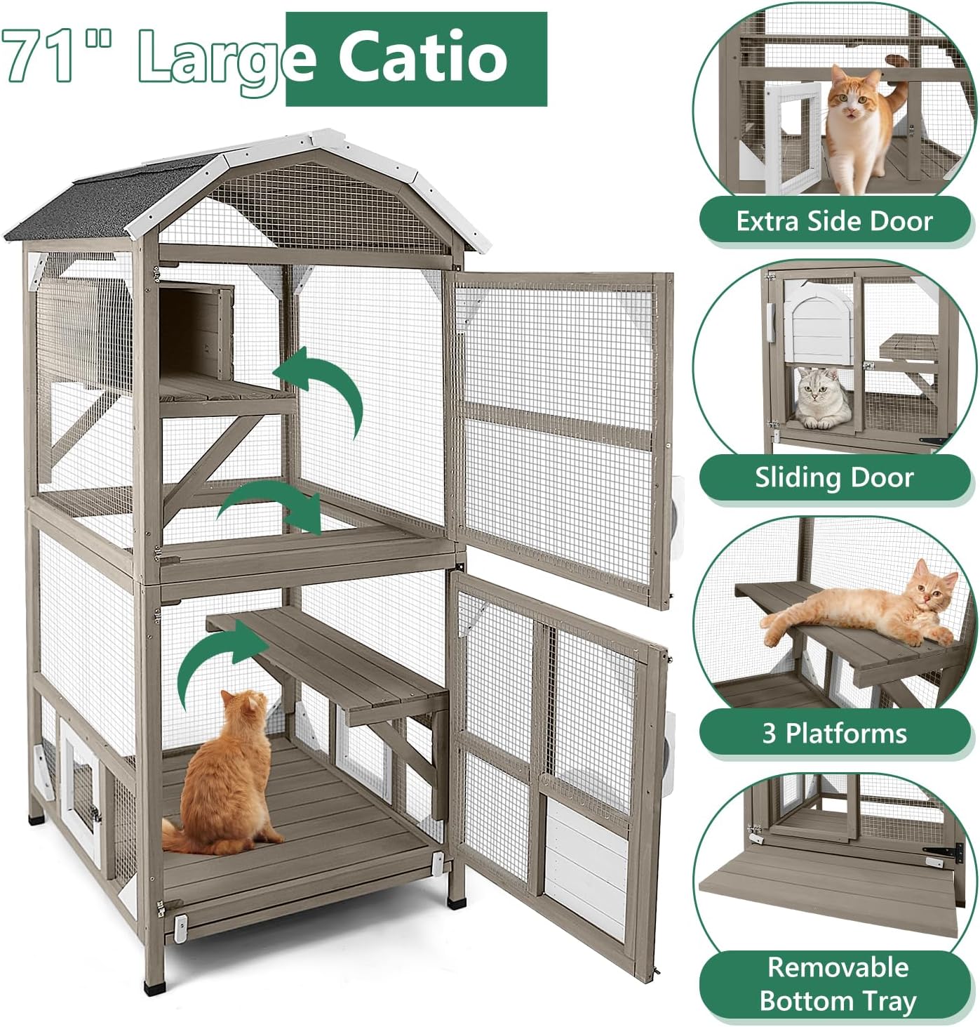 Spacious wooden cat enclosure with mesh panels and multiple levels