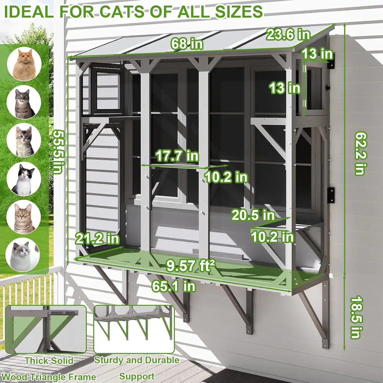 Large outdoor cat enclosure for multiple indoor cats