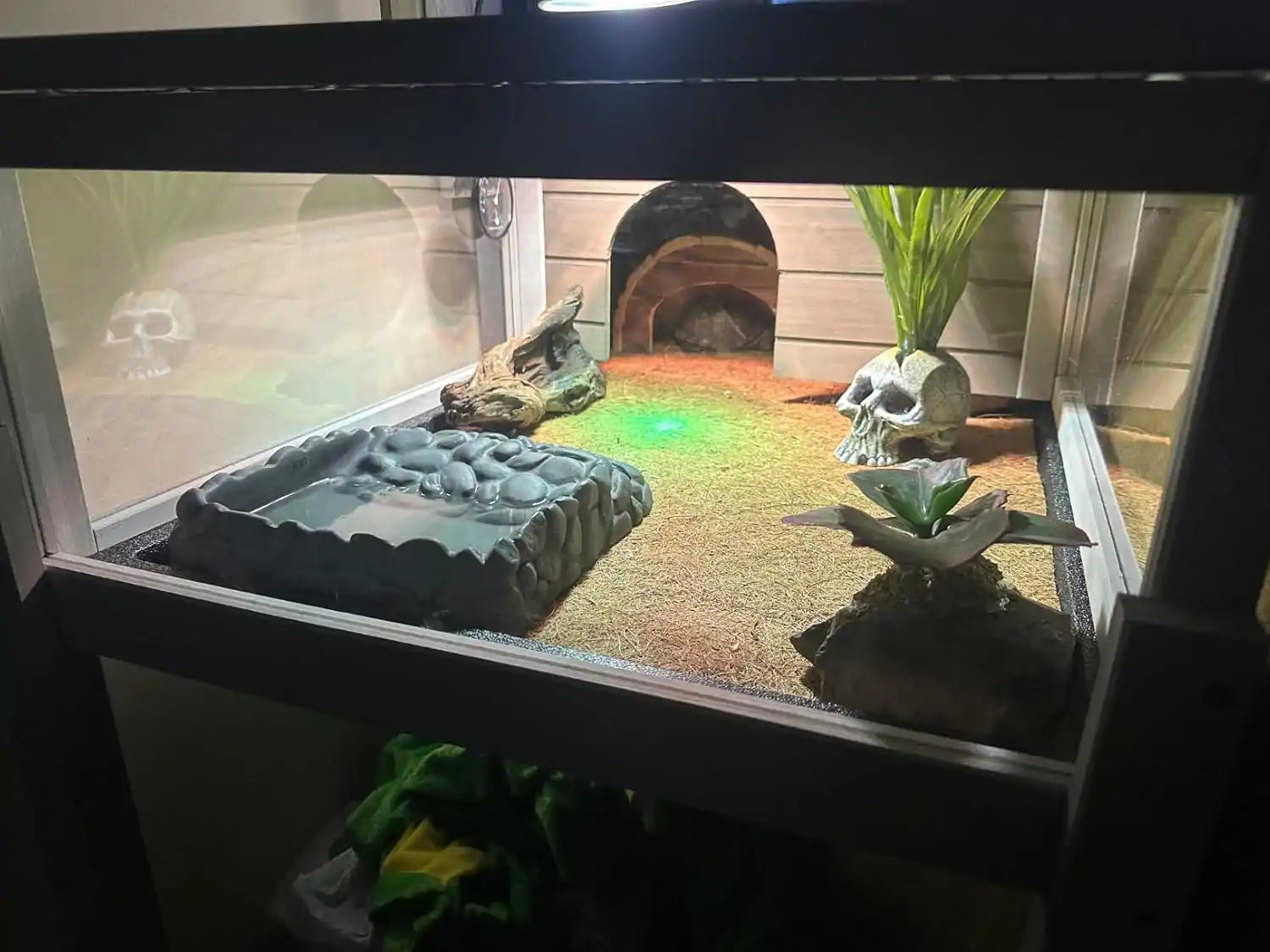 Tortoise enclosure with open-top and mesh cover for ventilation