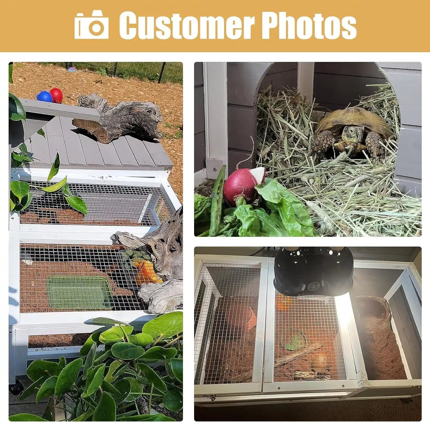 Reptile cage with two-room design for basking and hiding