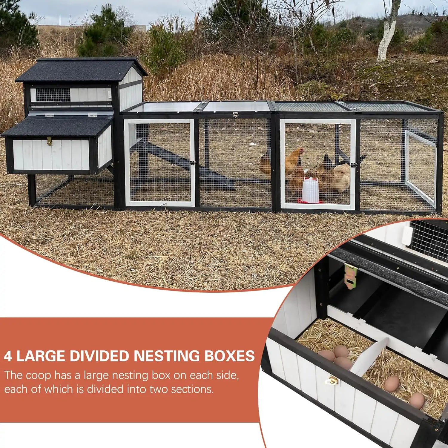 Dual nesting boxes with flip-open lids for egg collection