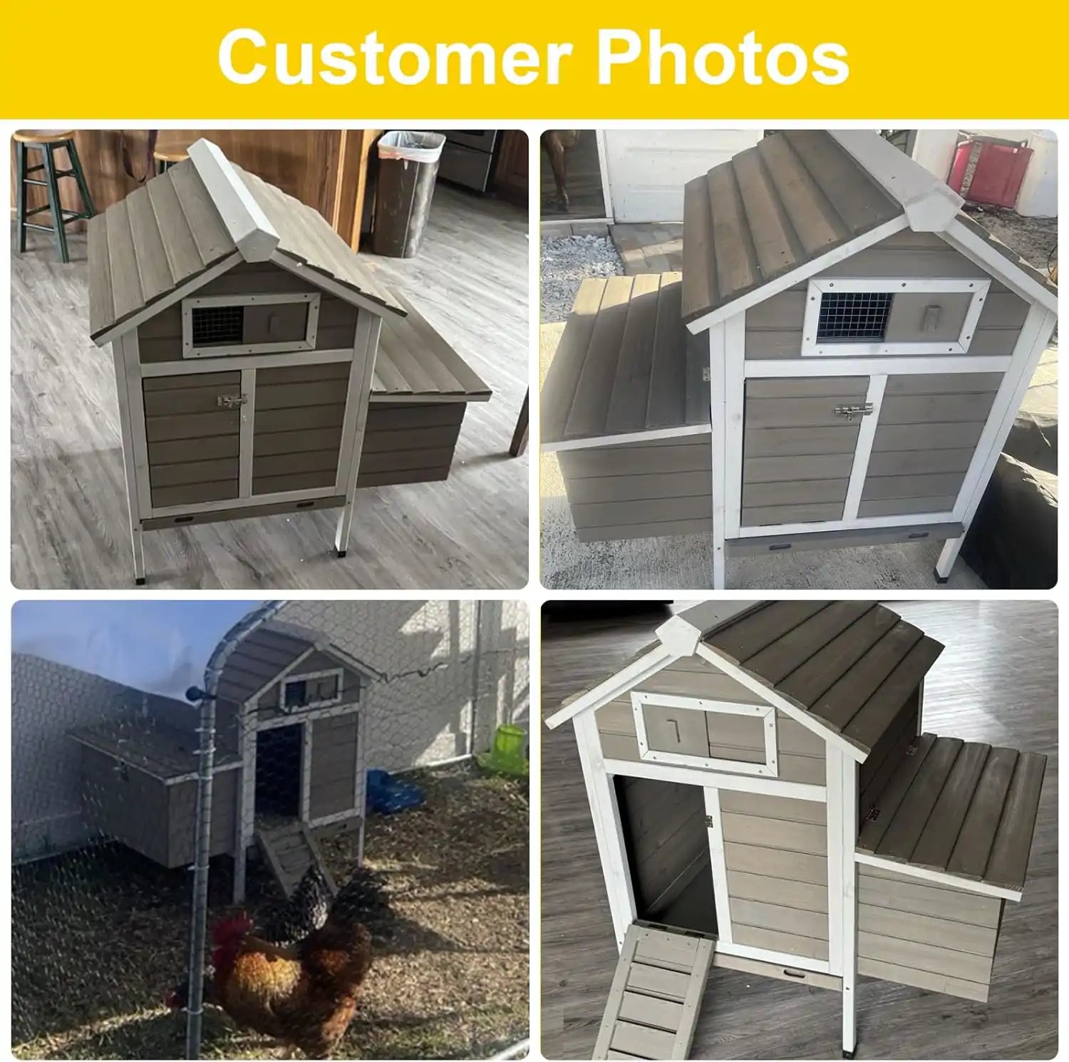 PET25 chicken coop with asphalt roof and secure wire mesh