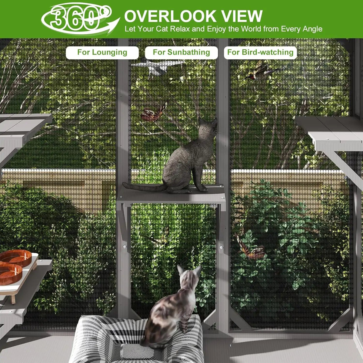 Expandable catio enclosure connected to house window