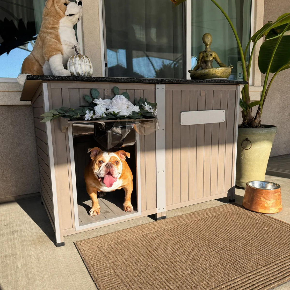 Petscosset large beige wooden dog house with chew-proof metal frame and clear curtain on a patio, with an English Bulldog sitting inside