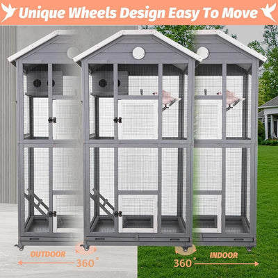 Finches and cockatiels sitting inside the aviary