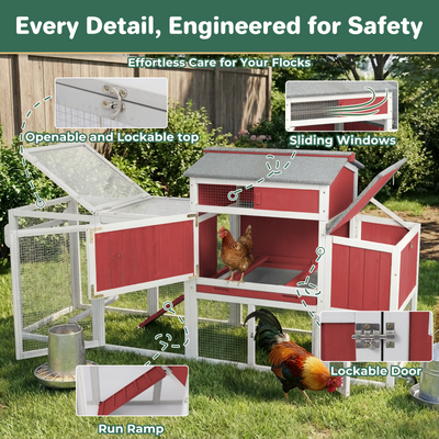 Small Chicken Coop with Run for 2–3 Chickens-Transparent Baffle Roof