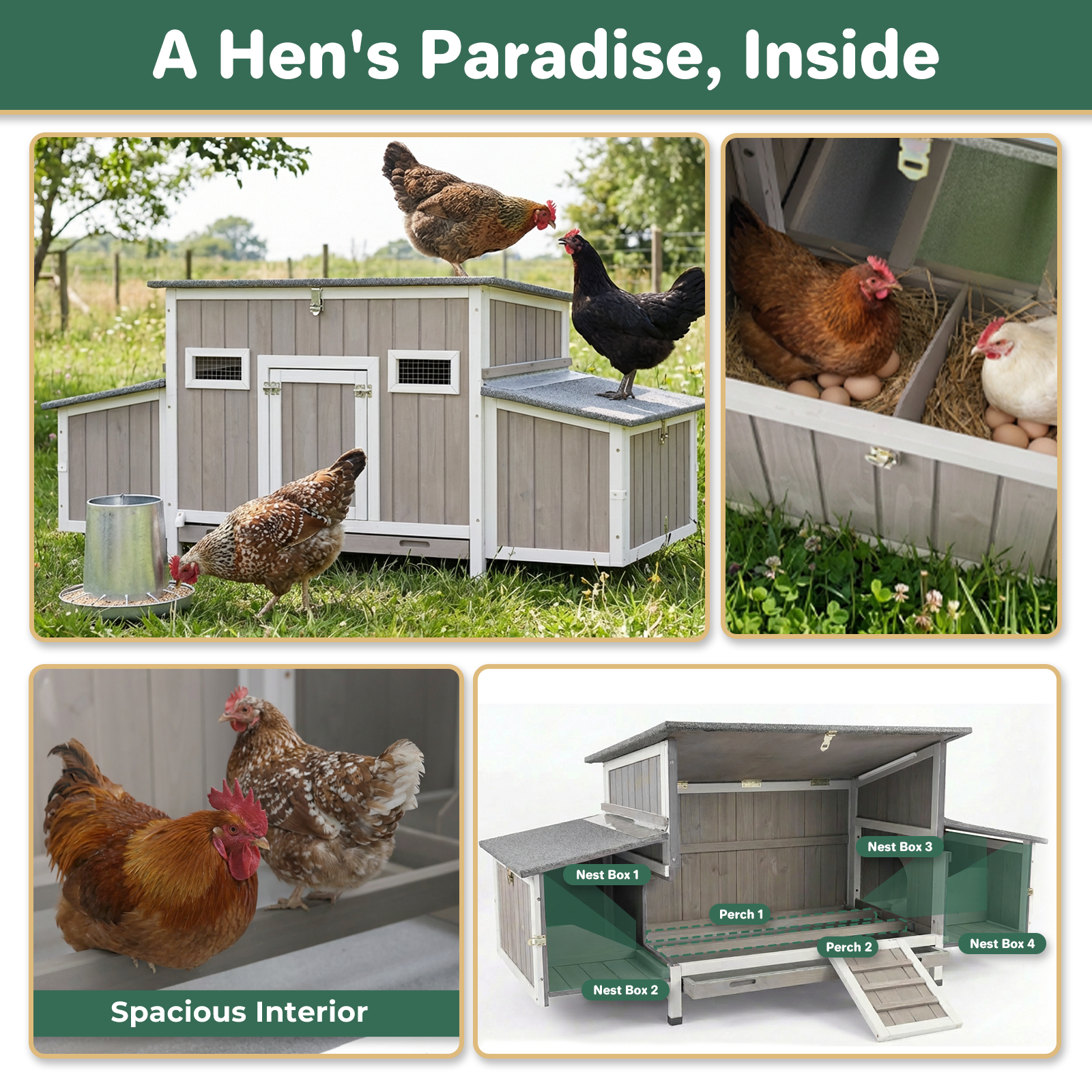 62" Fortified Chicken Coop with 4 Nesting Boxes & Pull-Out Tray-PET84