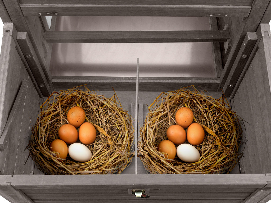 Small Chicken Coop with Run for 2–3 Chickens with Wheels – 01-Gray