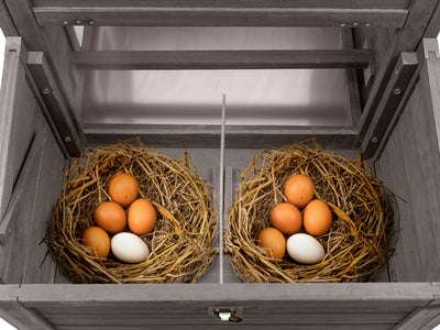 Small Chicken Coop with Run for 2–3 Chickens with Wheels – 01-Gray