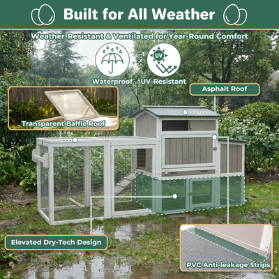 Small Chicken Coop with Run for 2–3 Chickens-Transparent Baffle Roof
