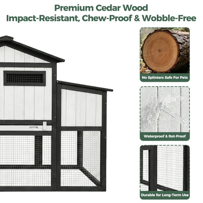 Modular Small Chicken Coop with Run for 2–3 Chickens - PET06