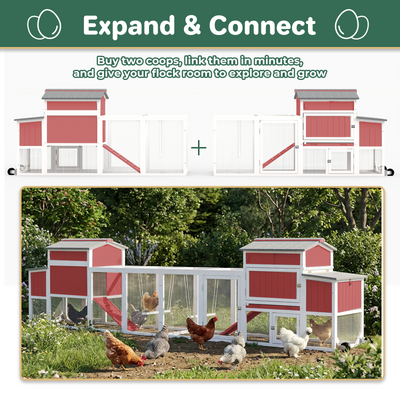 Small Chicken Coop with Run for 2–3 Chickens-Transparent Baffle Roof