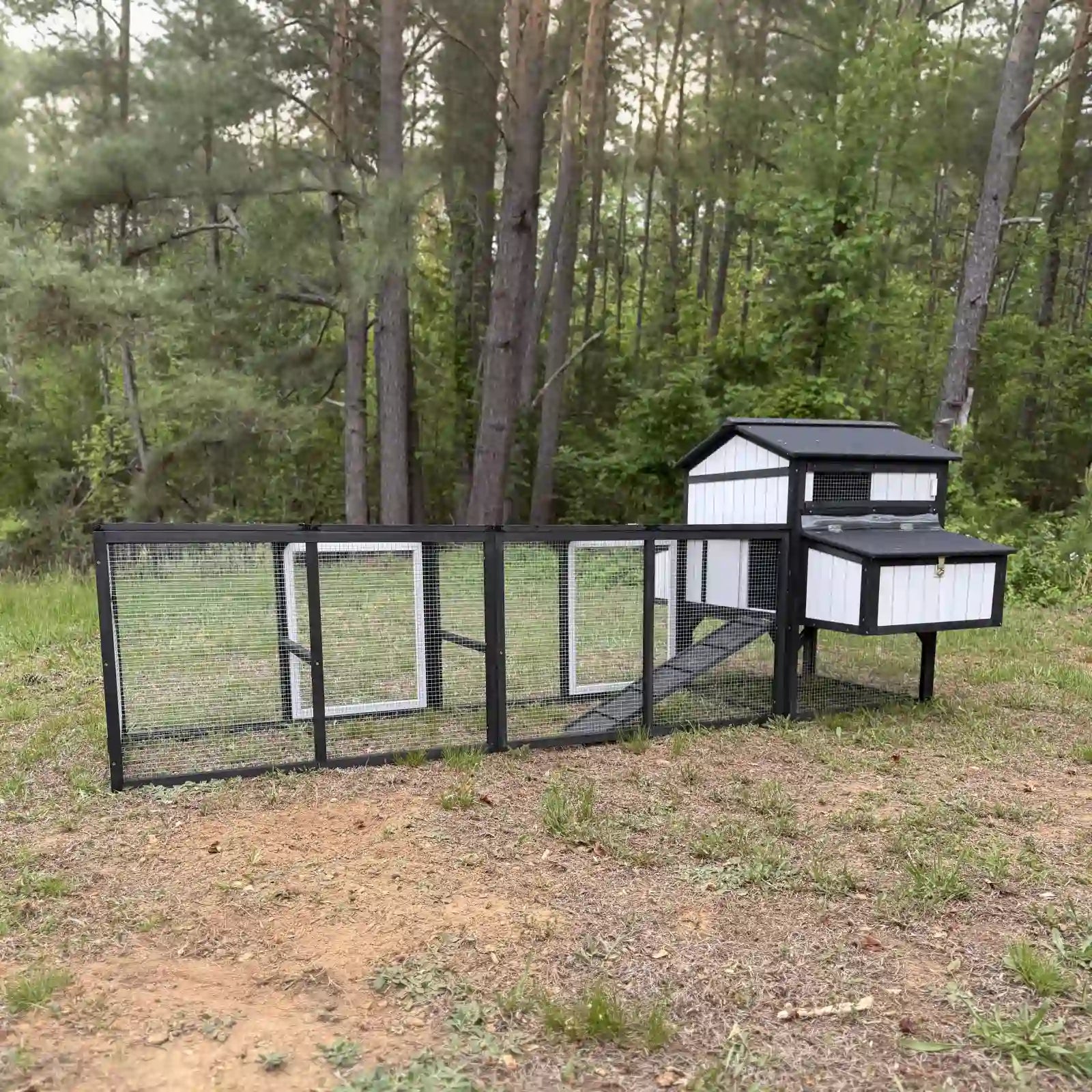 Large chicken coop with run for 4–12 chickens, includes 4 nesting boxes - PET27