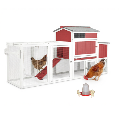 Small Chicken Coop with Run for 2–3 Chickens-Transparent Baffle Roof