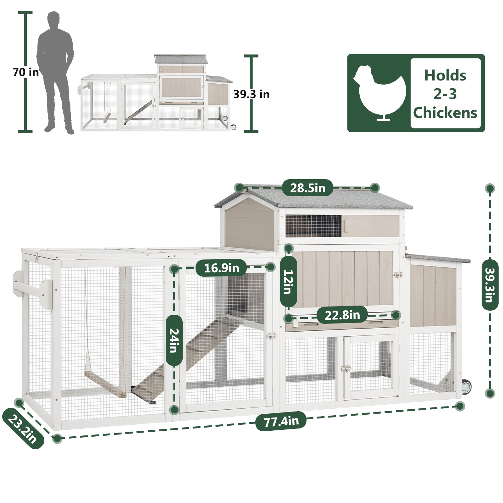 Small Chicken Coop with Run for 2–3 Chickens-Transparent Baffle Roof - PET82