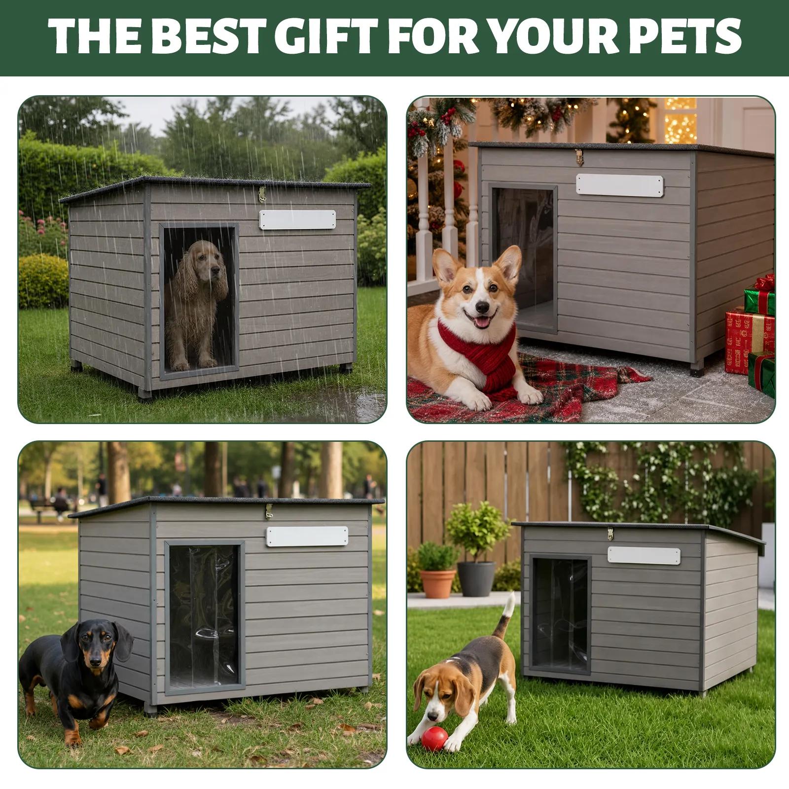Small Dog House (33.8