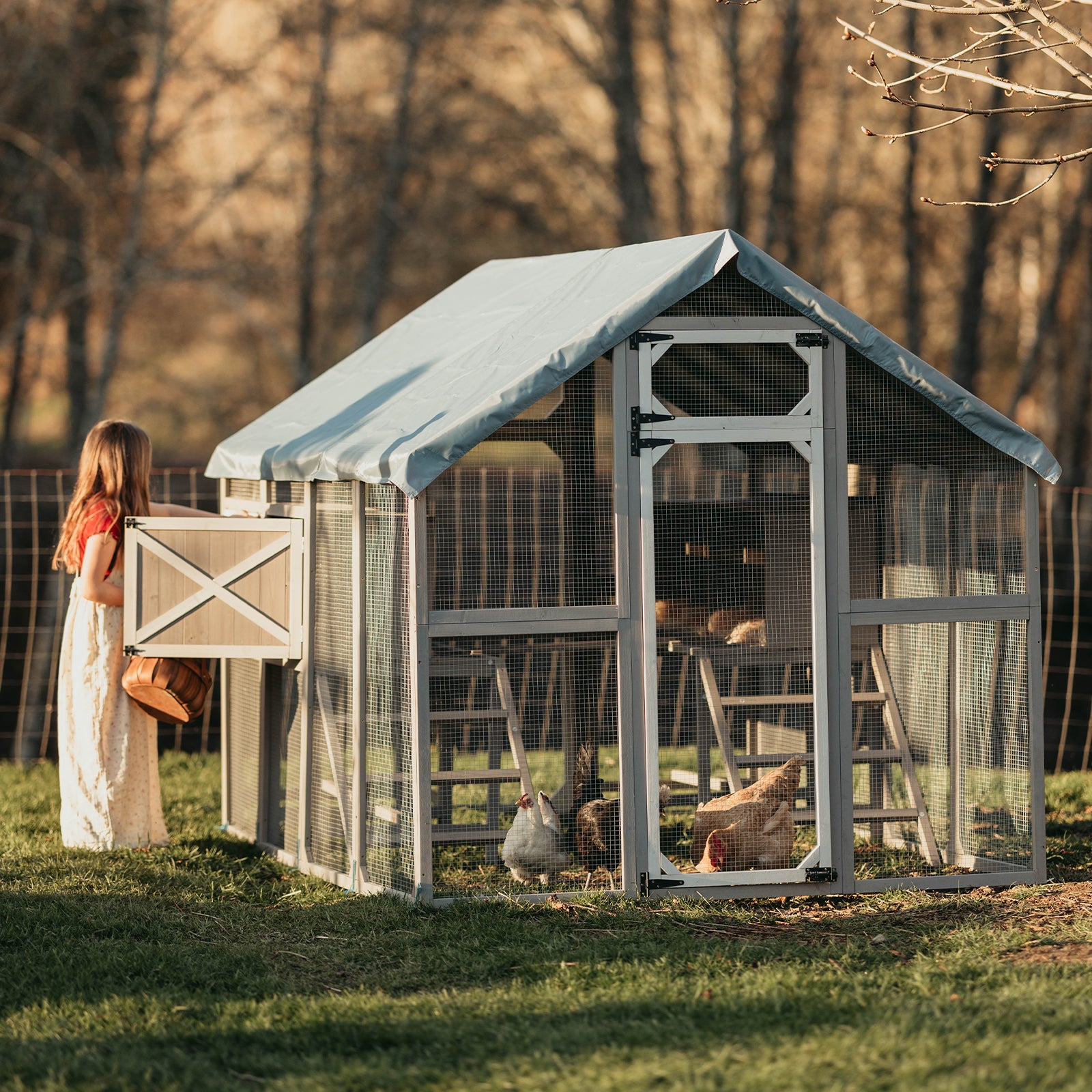 Large Chicken Coop for 8-12 Chickens, Walk-In Run with Nesting Boxes-PET29