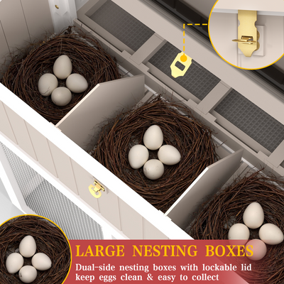 Medium Chicken Coop Predator-Proof for 2–4 Chickens Expandable to Large Coop