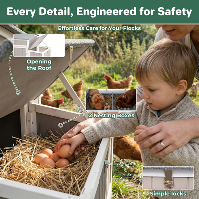 Small Chicken Coop with Run & Swing for 2–3 Chickens-Sloped Roof