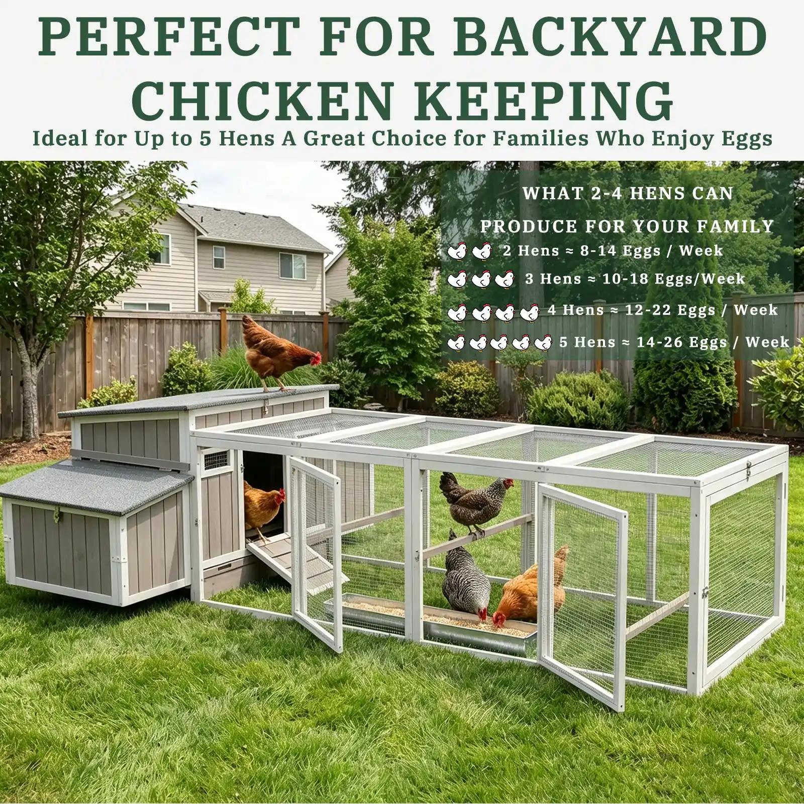 Medium Chicken Coop with Nesting Boxes for 3-5 Chickens - PET84