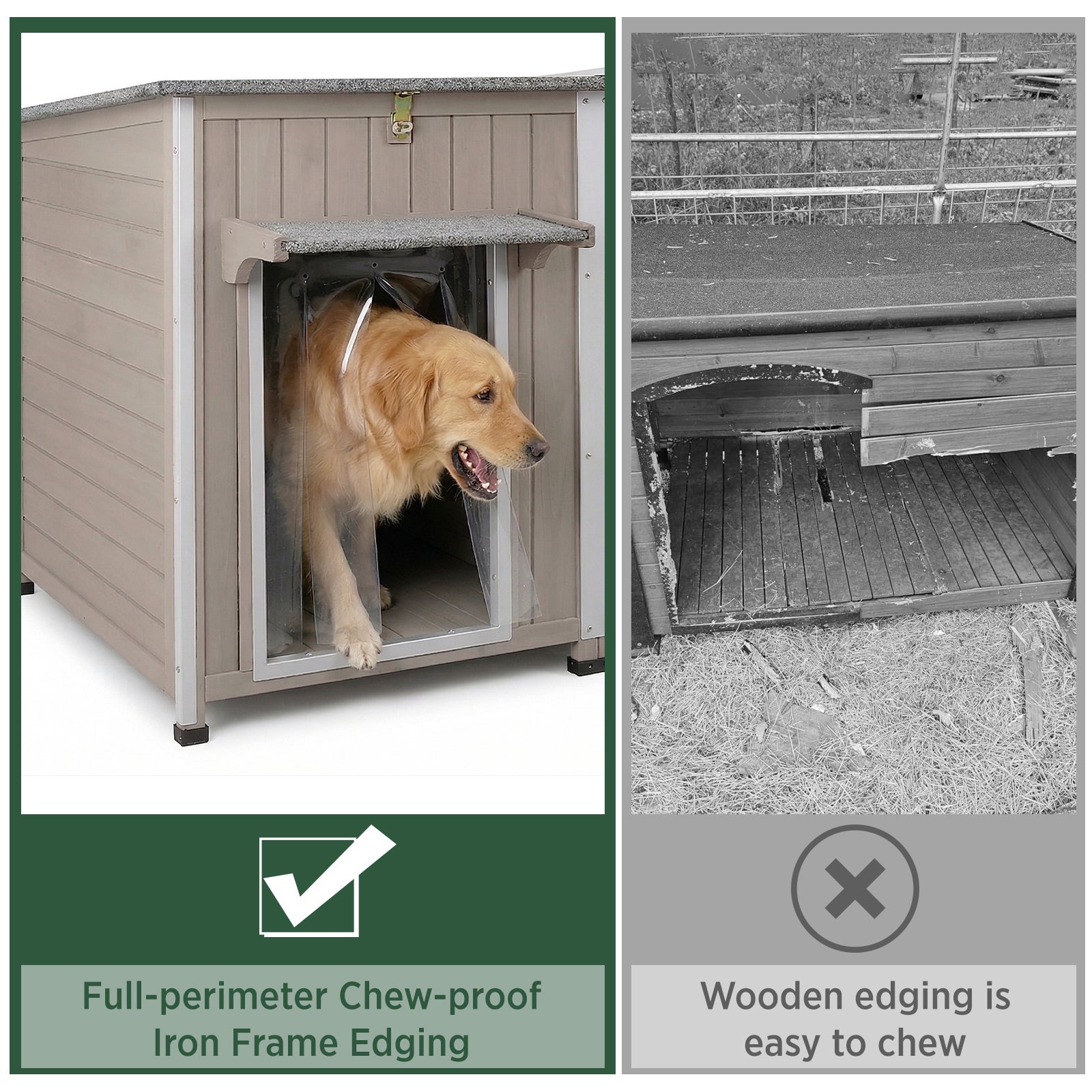 XL Dog House (55