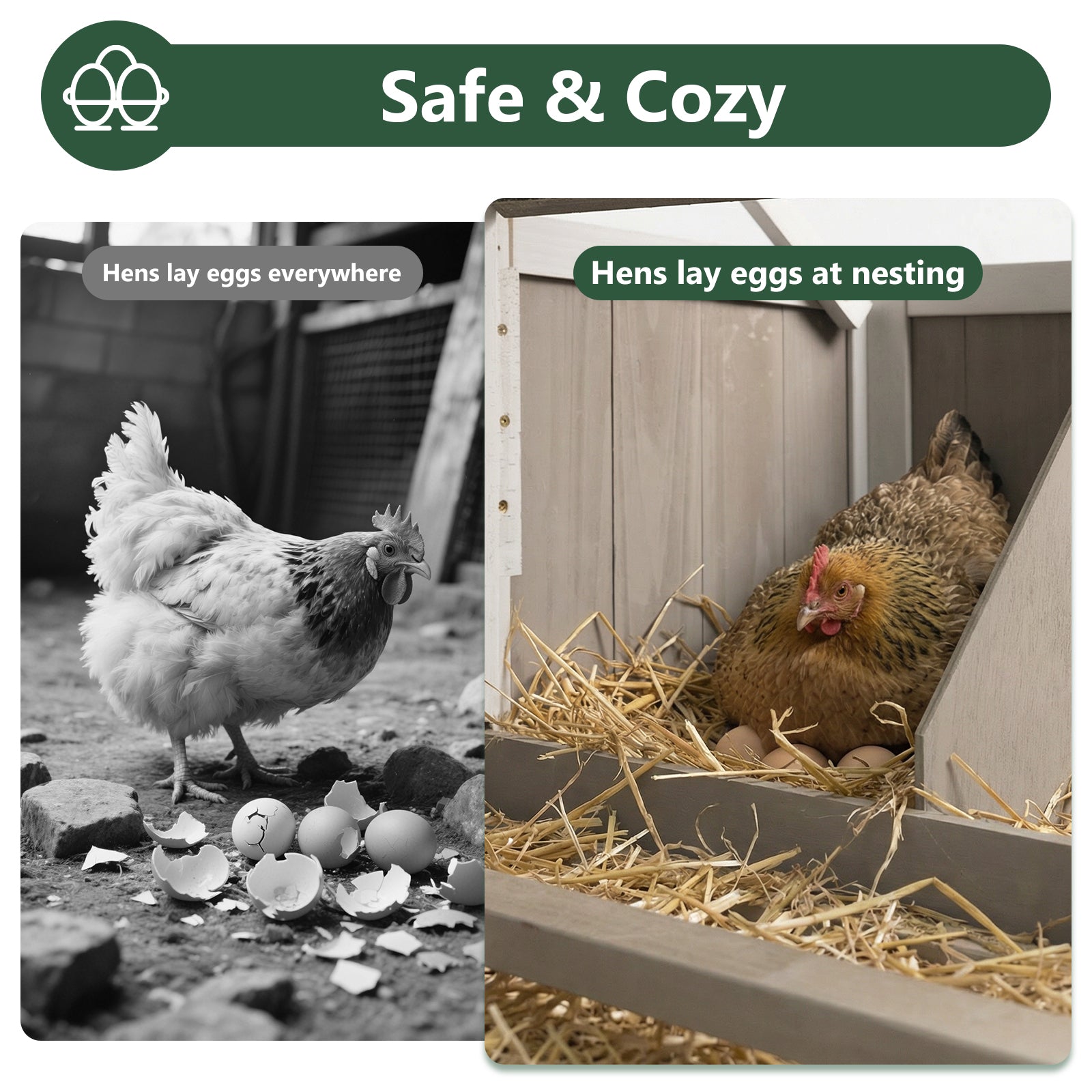 Small Chicken Coop with Run for 2–3 Chickens-Transparent Baffle Roof - PET82