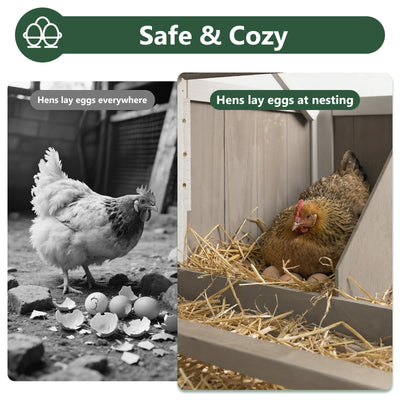 Small Chicken Coop with Run for 2–3 Chickens-Transparent Baffle Roof - PET82