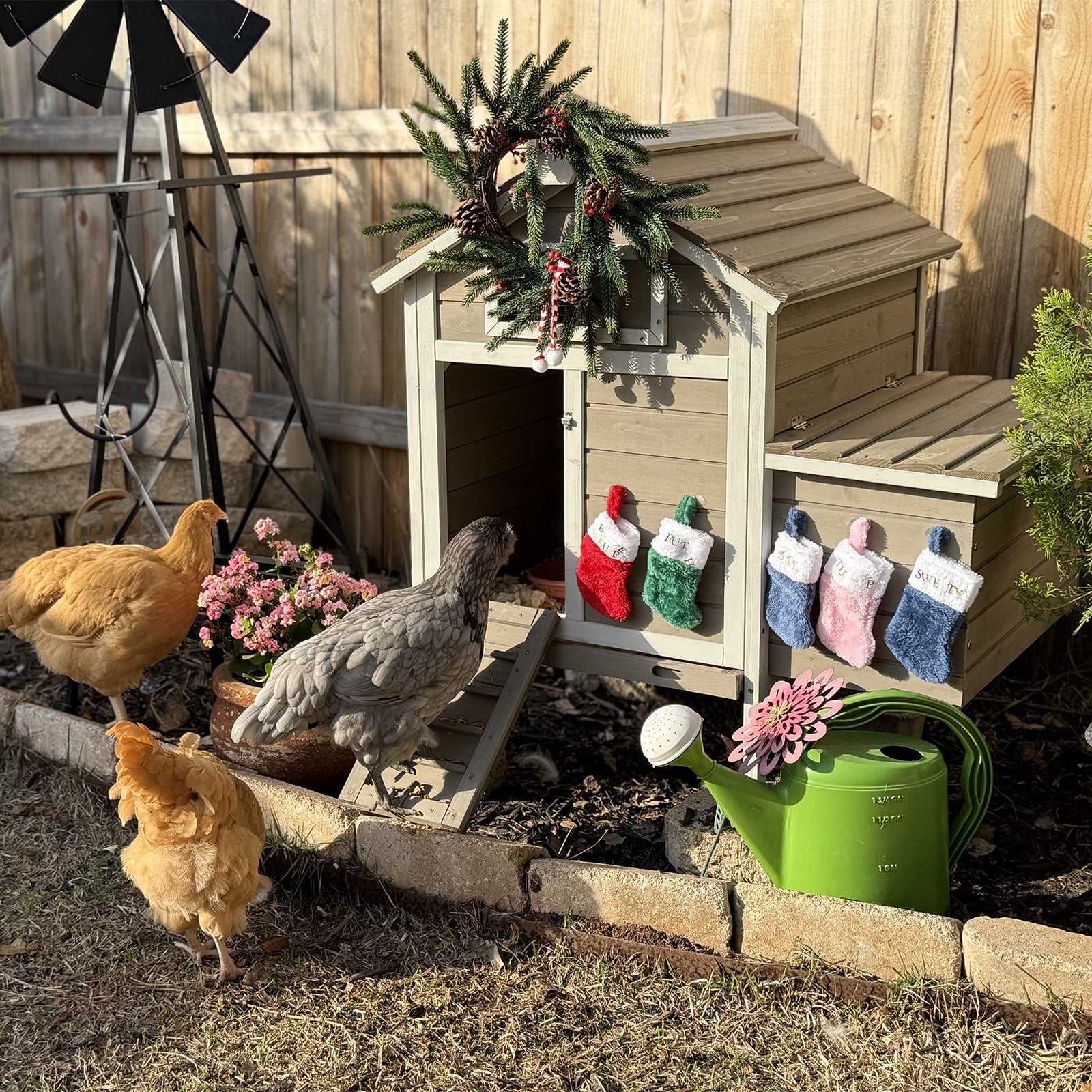 Chicken Coop with Nesting Box,Pull Out Tray-PET25