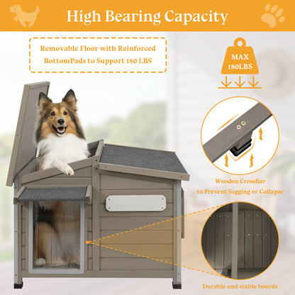 Raised wooden dog house with iron frame support