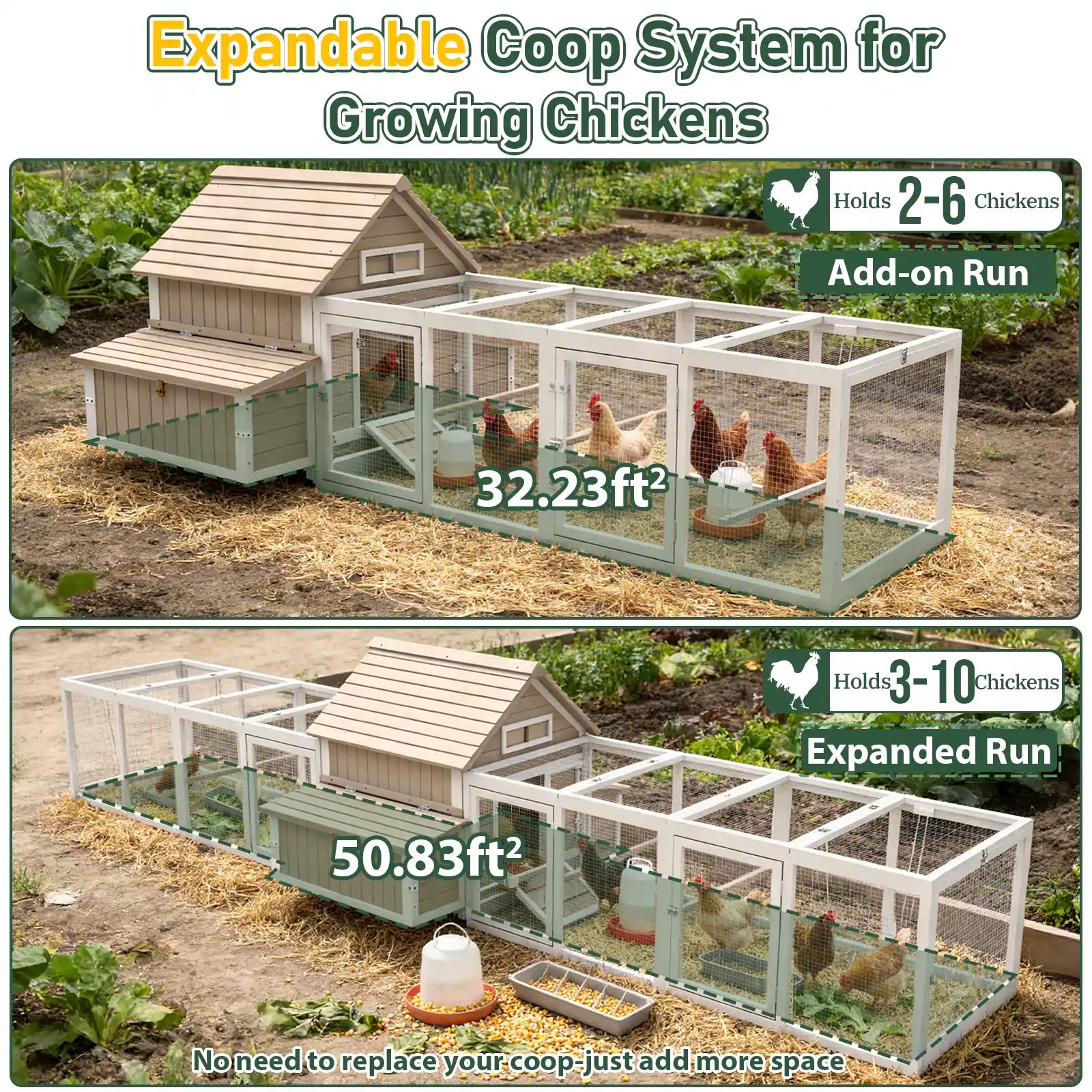 Large Expandable Chicken Coop – Modular Predator-Proof Hen House with Run &amp; Nesting Boxes (PET86 + PET88 Extensions)