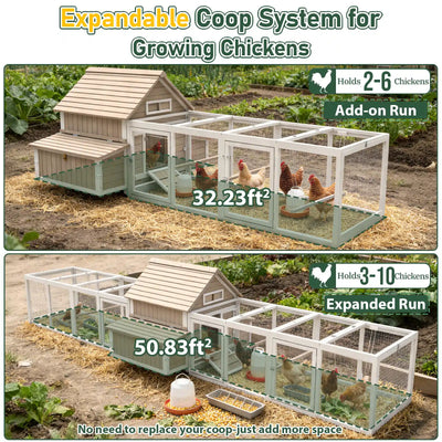 Large Expandable Chicken Coop – Modular Predator-Proof Hen House with Run &amp; Nesting Boxes (PET86 + PET88 Extensions)