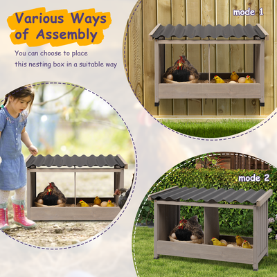 Nesting box designed for easy hen access and egg collection