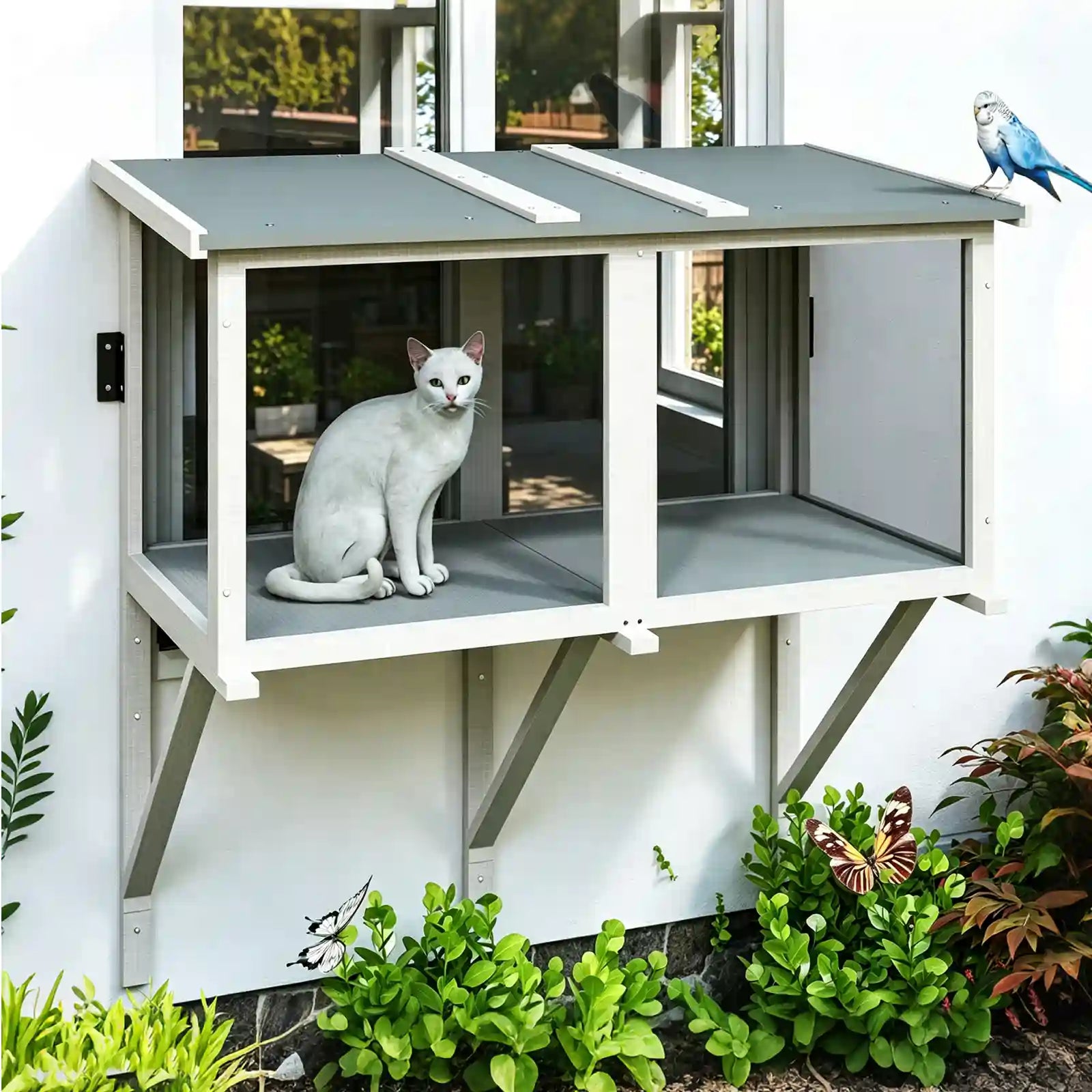 Cat Window