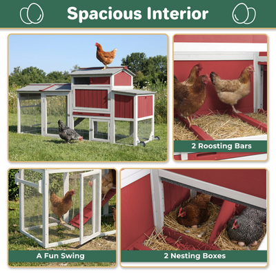 Small Chicken Coop with Run & Swing for 2–3 Chickens-Sloped Roof