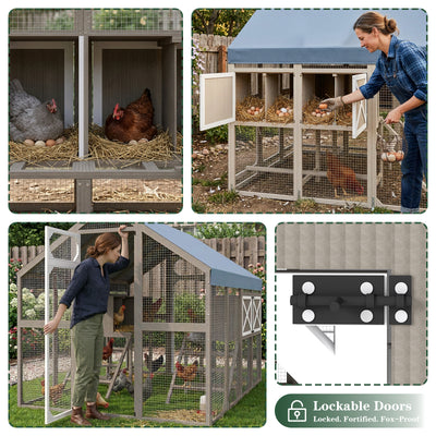 Large Chicken Coop for 8-12 Chickens, Walk-In Run with Nesting Boxes-PET29